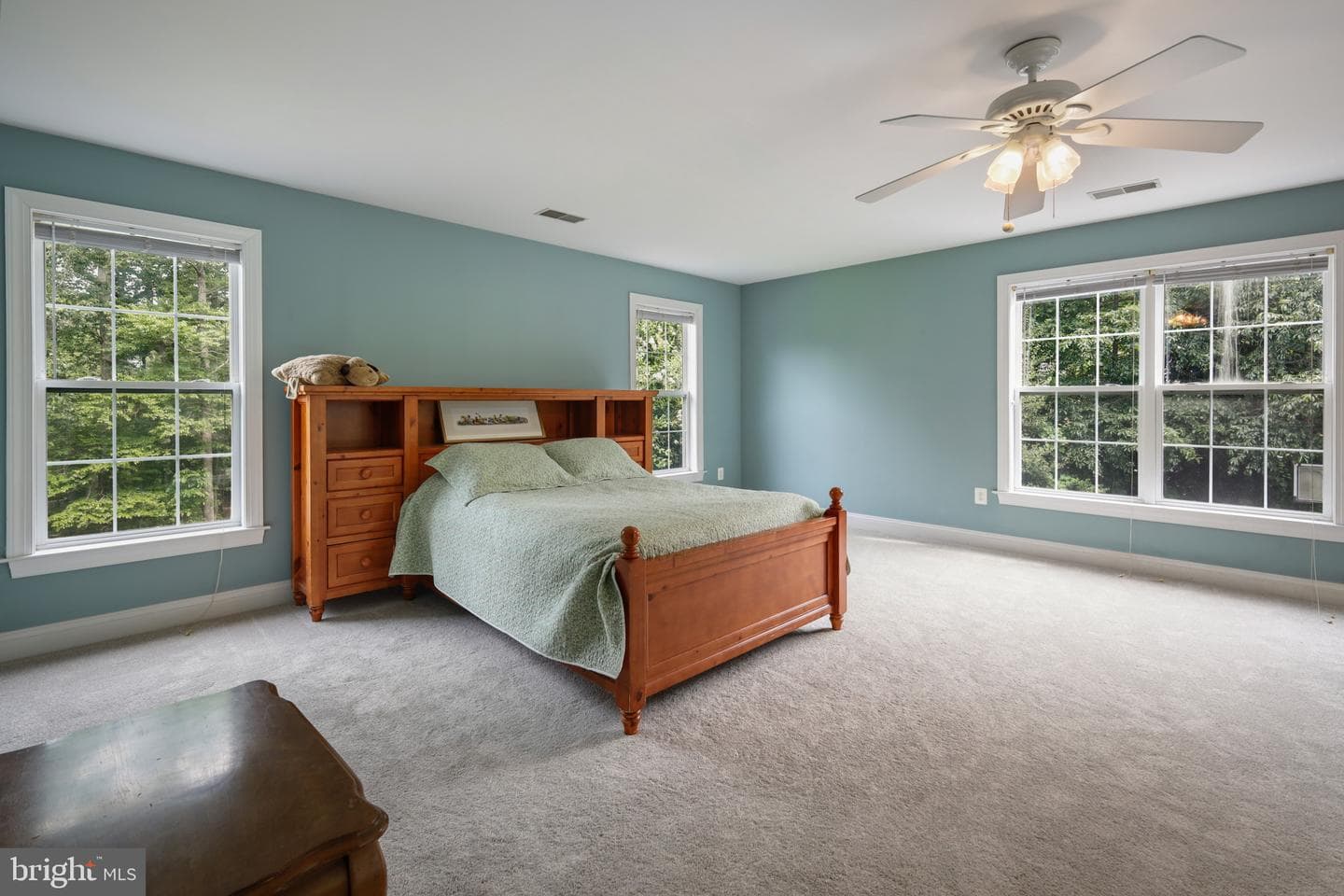 2802 Apple Cinnamon Place photo 22