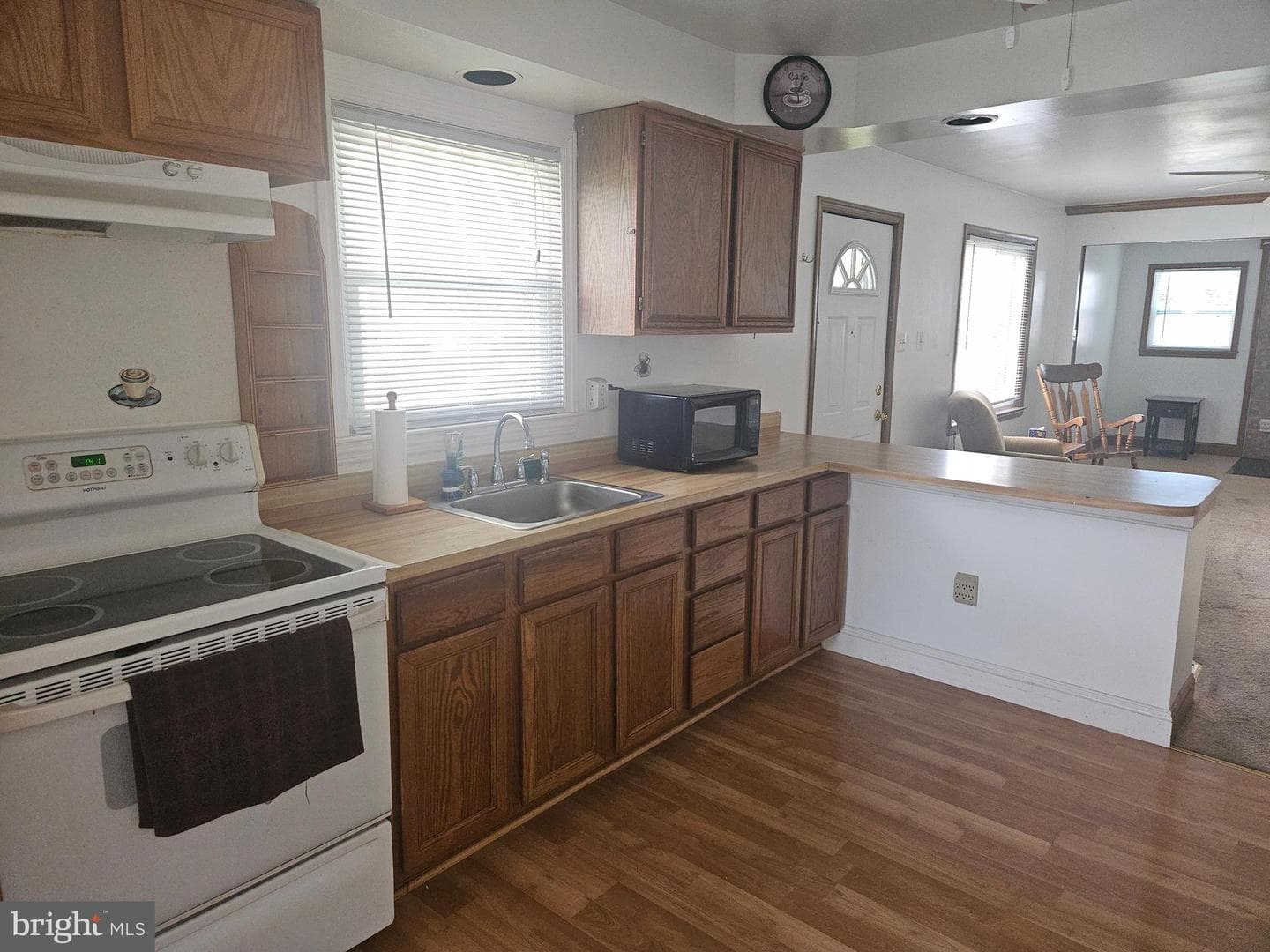 3909 Belle Of Georgia Avenue photo 4