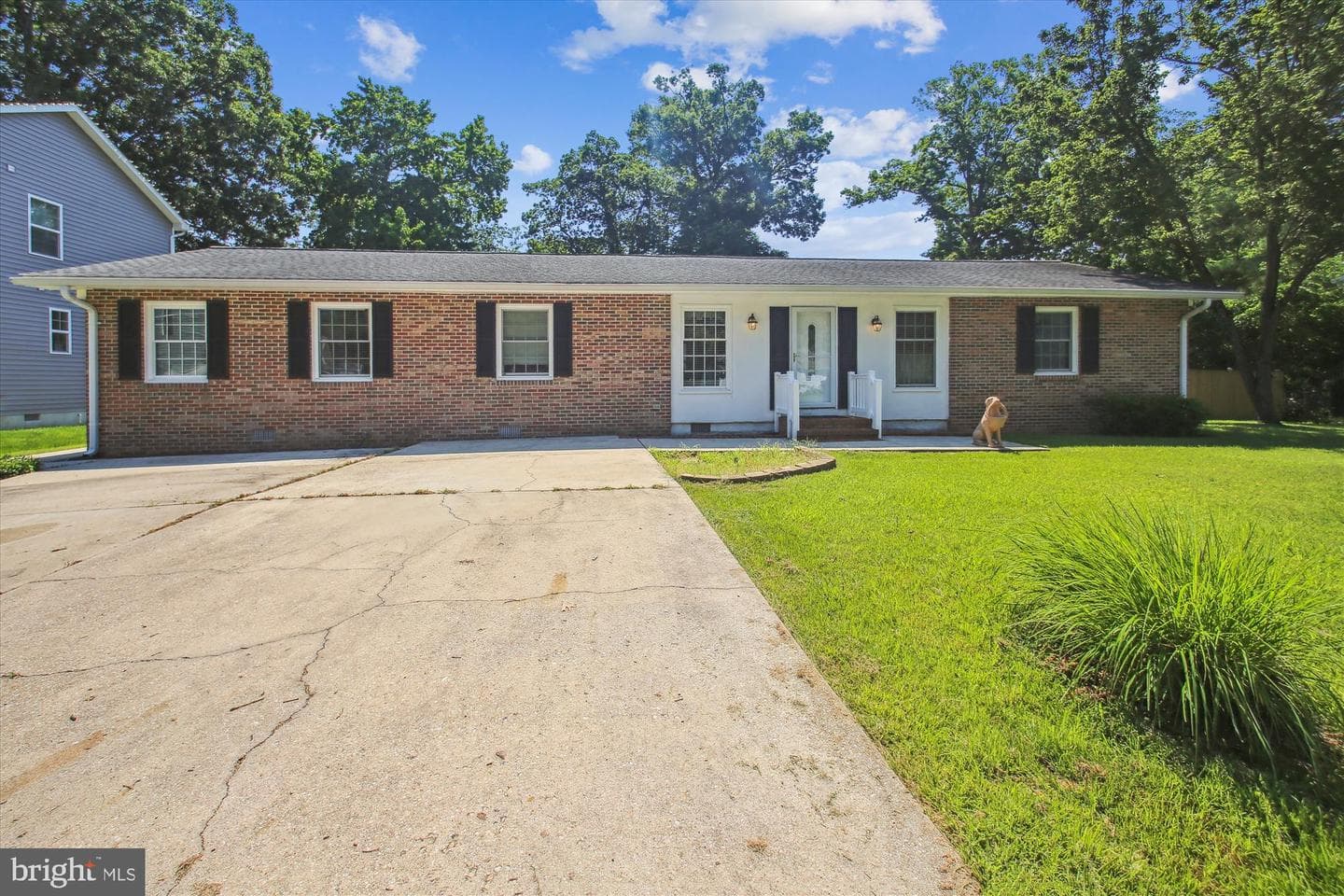 4723 Washington Avenue photo 50