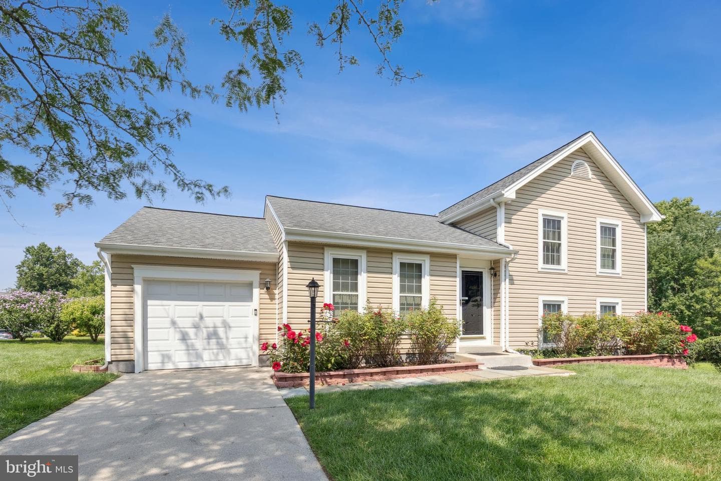 7850 Golden Pine Circle photo 2