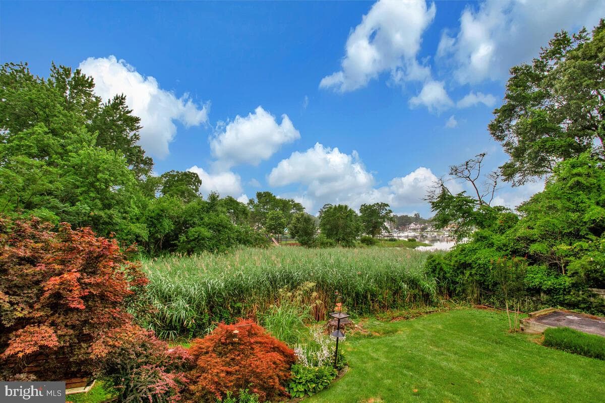 1428 Oak Bluff Road photo 40