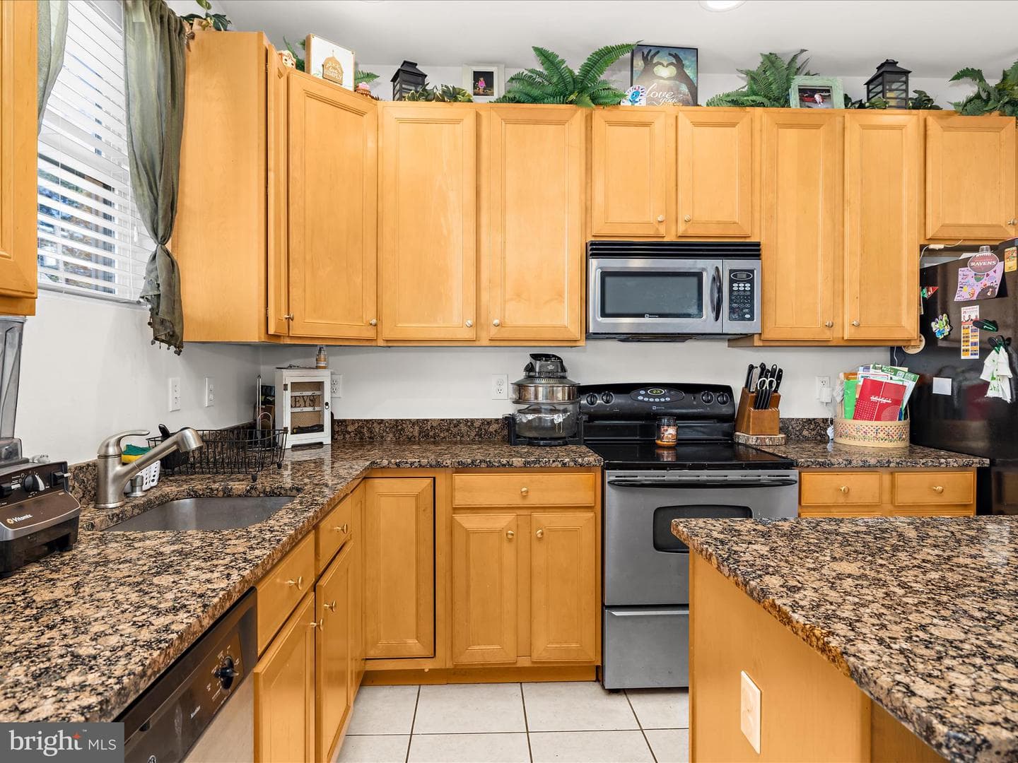 166 Meadow Road photo 12