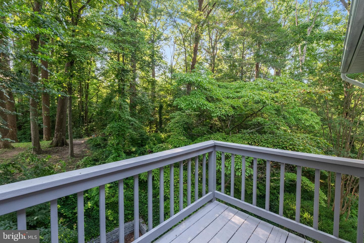 852 Birch Trail photo 58