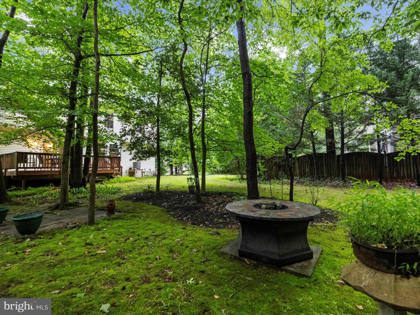 3618 Calvert Street photo 53