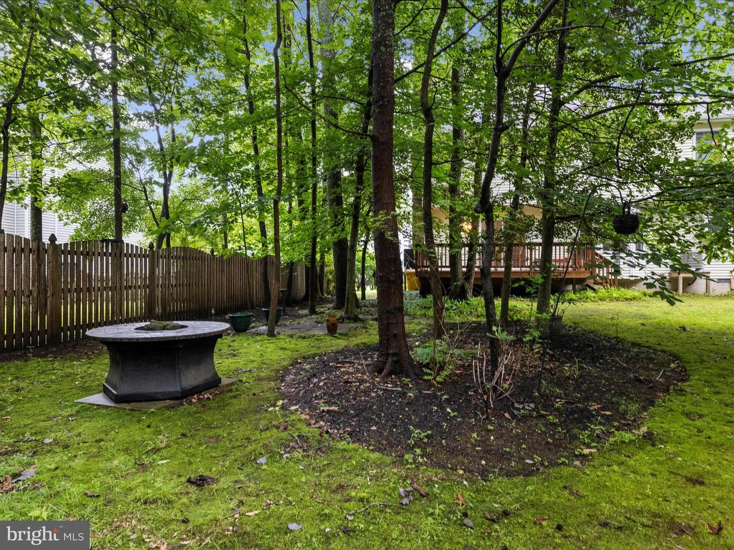 3618 Calvert Street photo 54