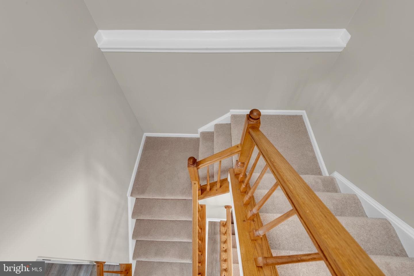 929 Nanticoke Run Way photo 22