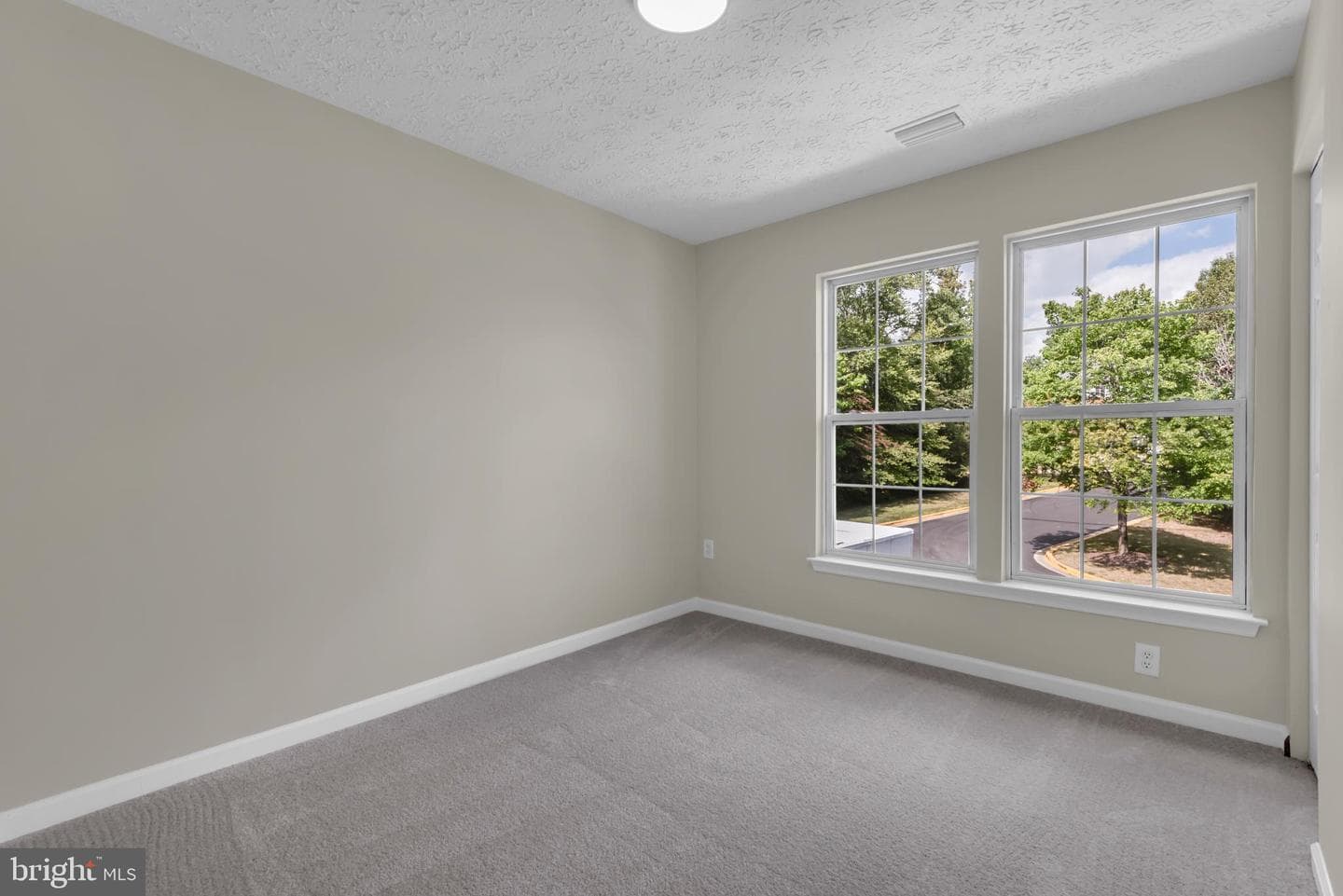 929 Nanticoke Run Way photo 27