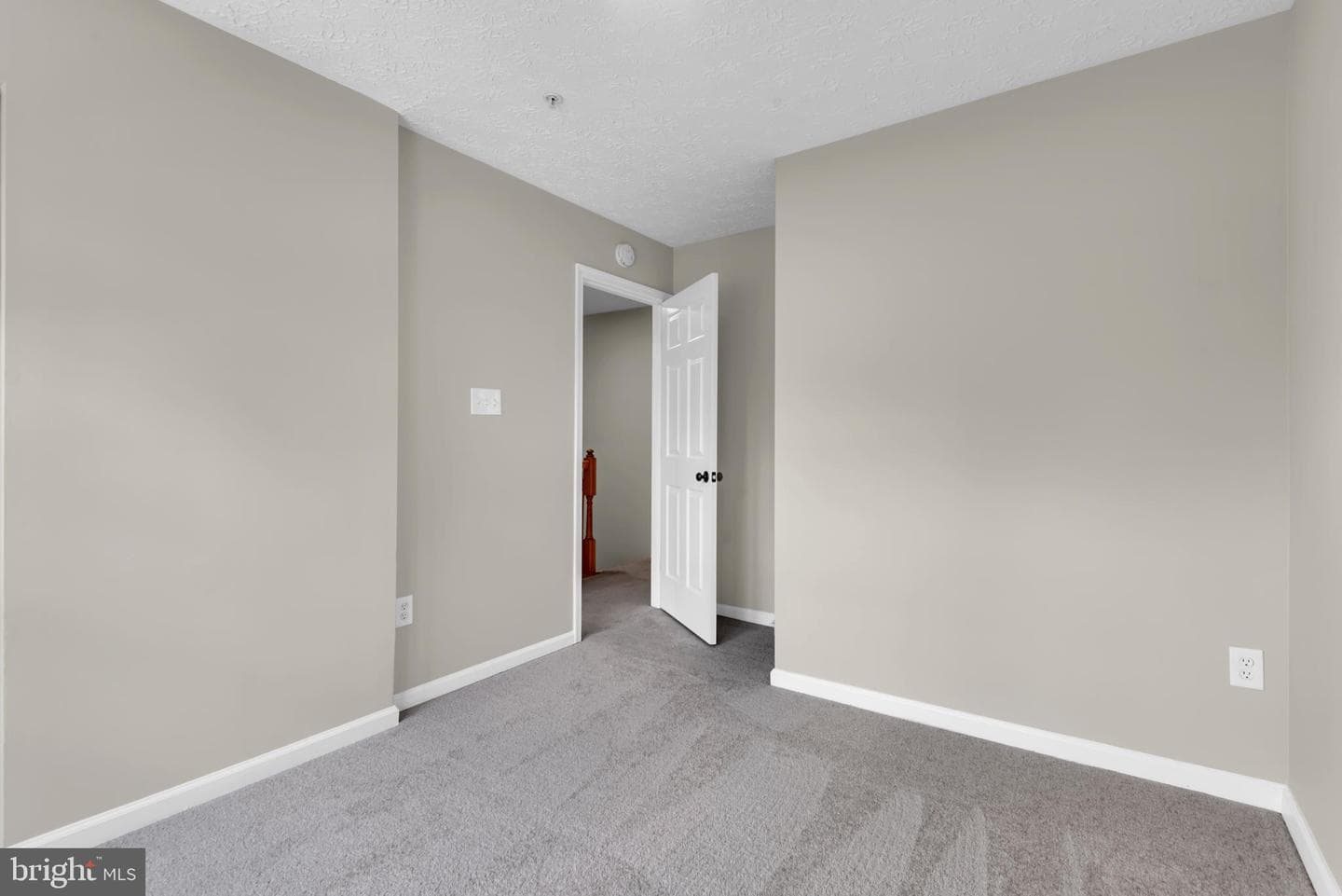 929 Nanticoke Run Way photo 28