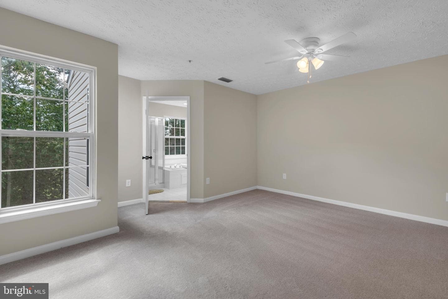 929 Nanticoke Run Way photo 30