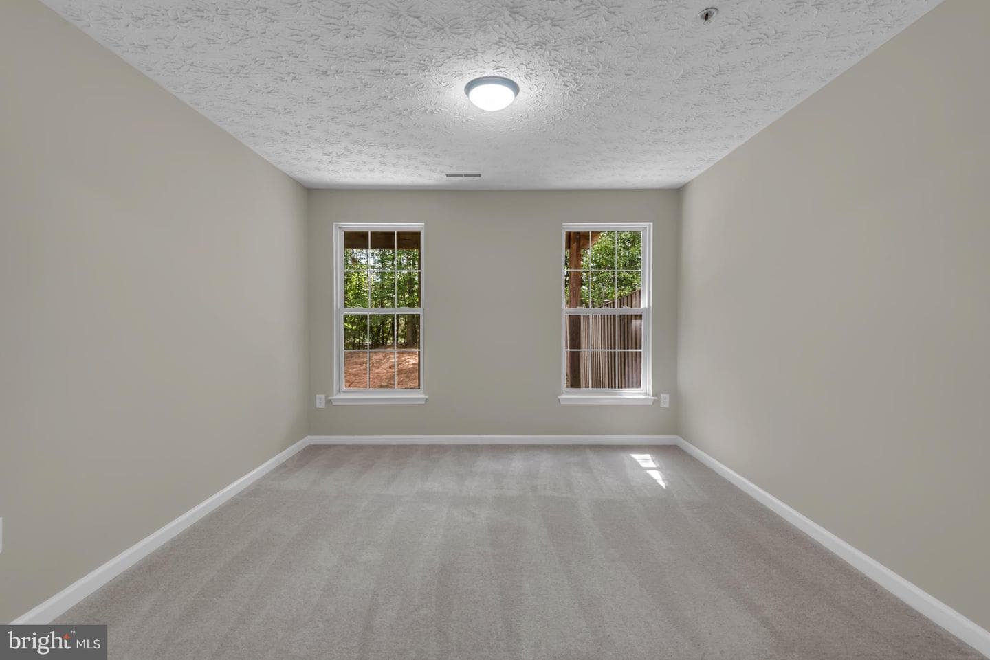 929 Nanticoke Run Way photo 43