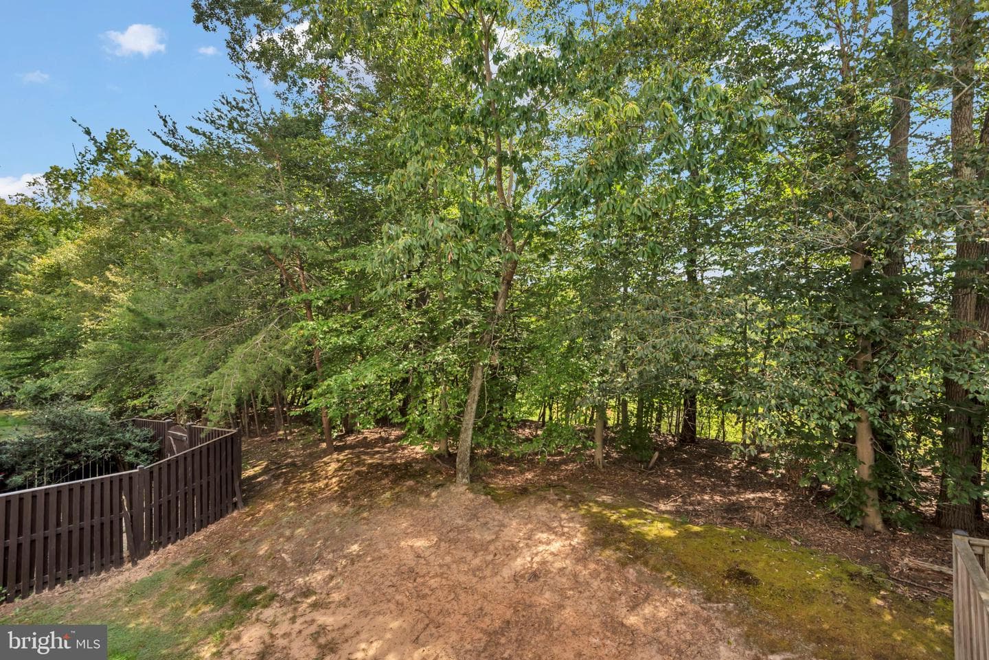 929 Nanticoke Run Way photo 48