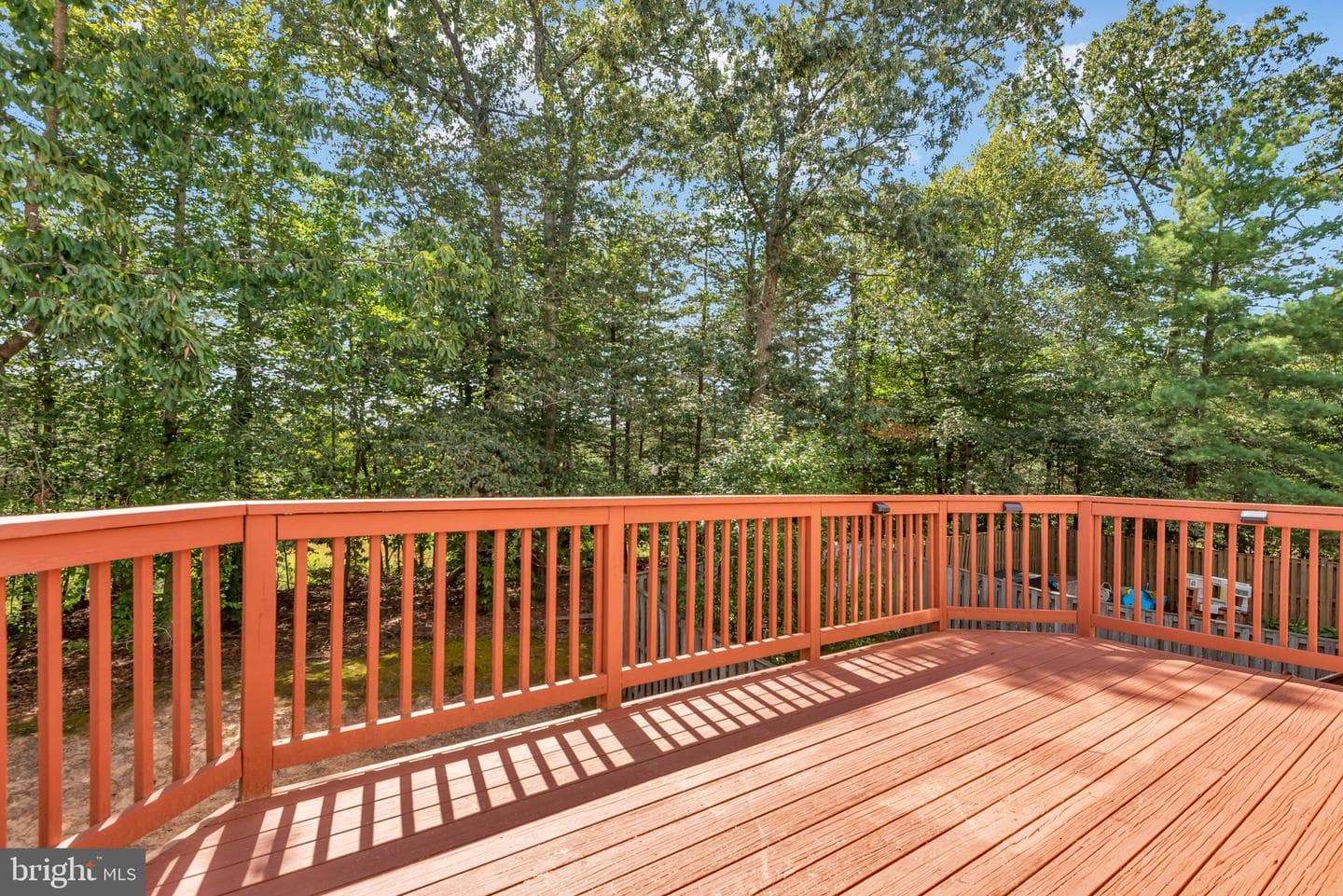 929 Nanticoke Run Way photo 50