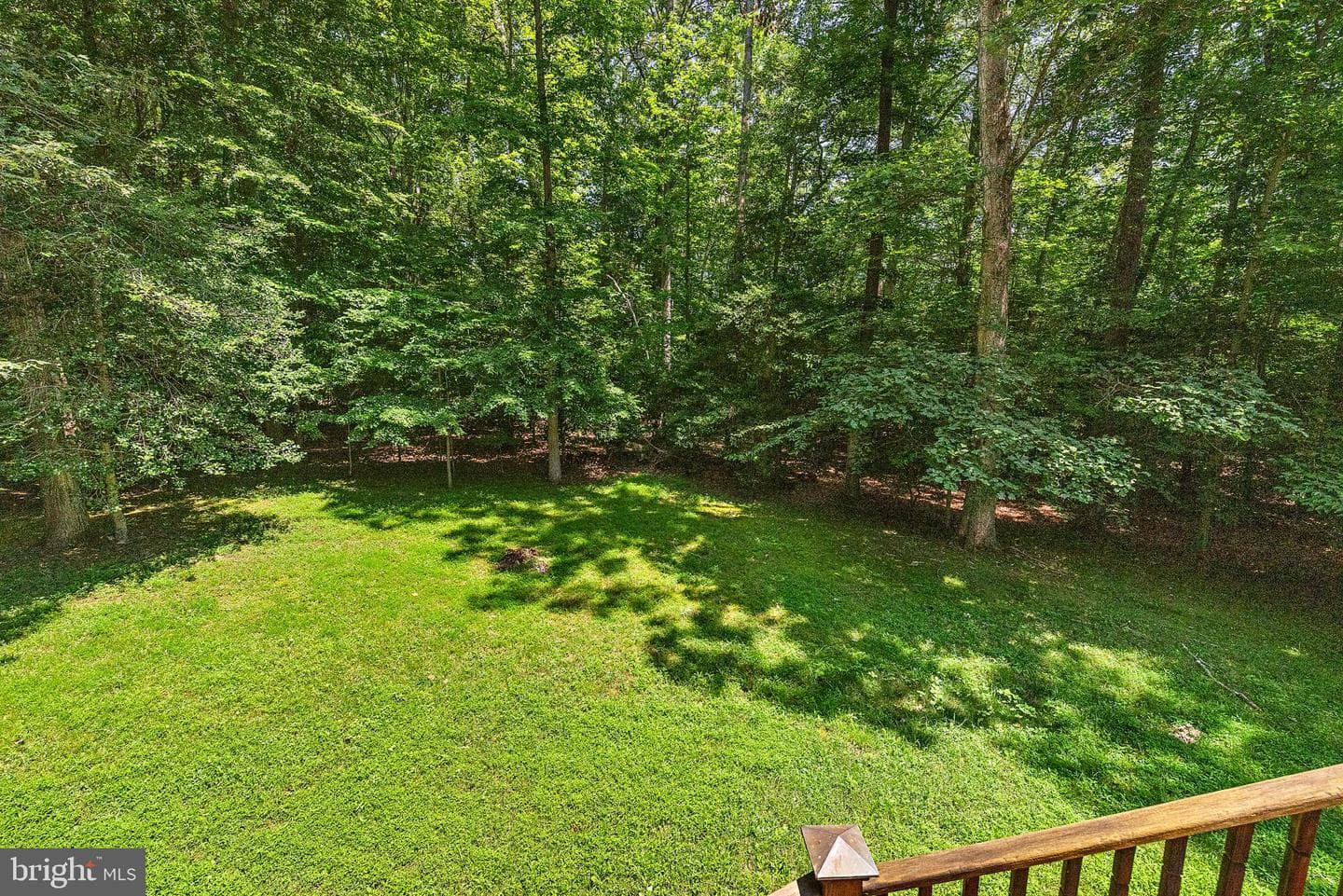 3313 Strawberry Run photo 45