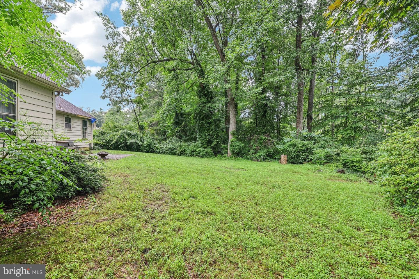 1602 Farnborn Street photo 25