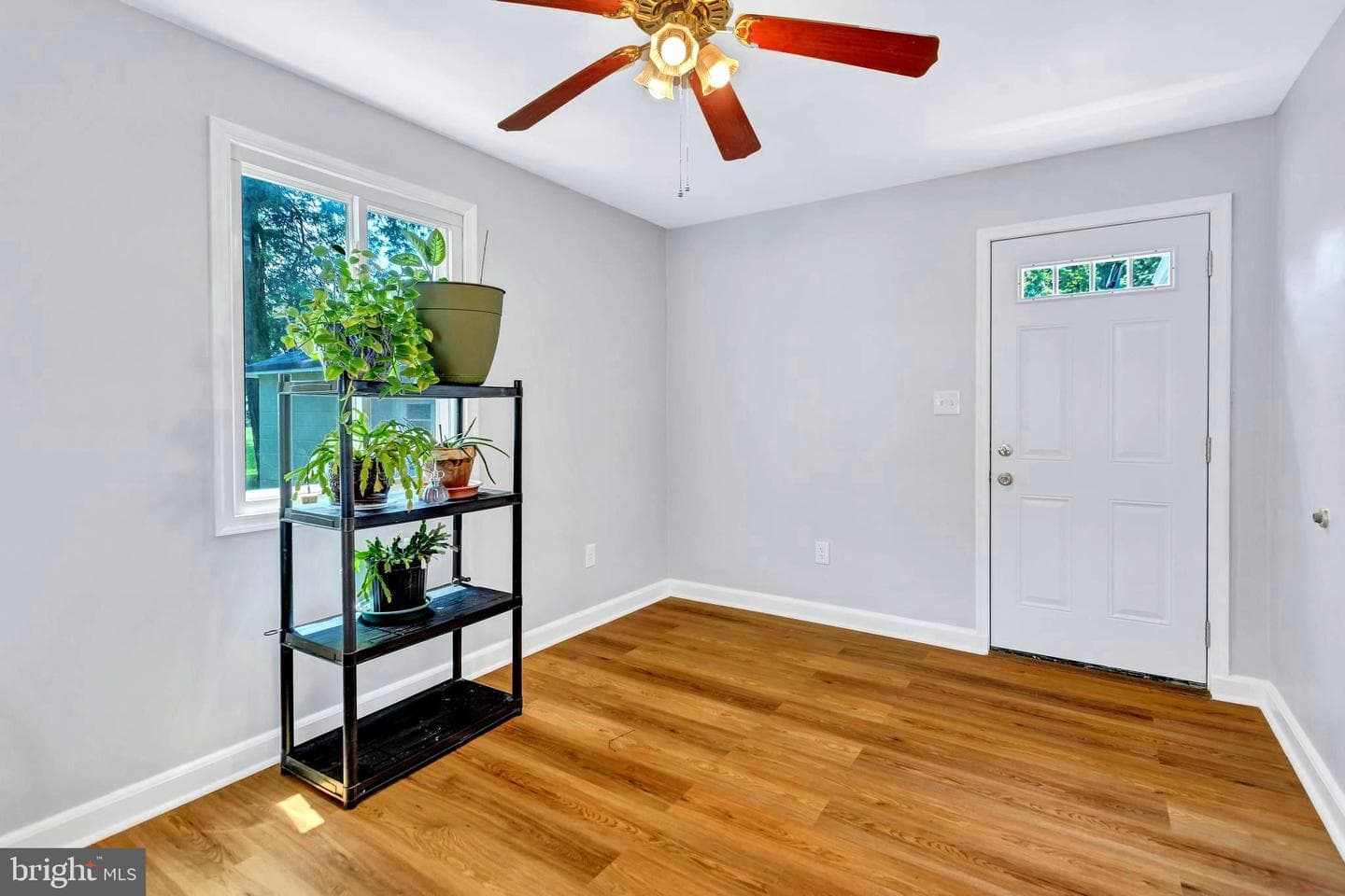 605 Newfield Road photo 19