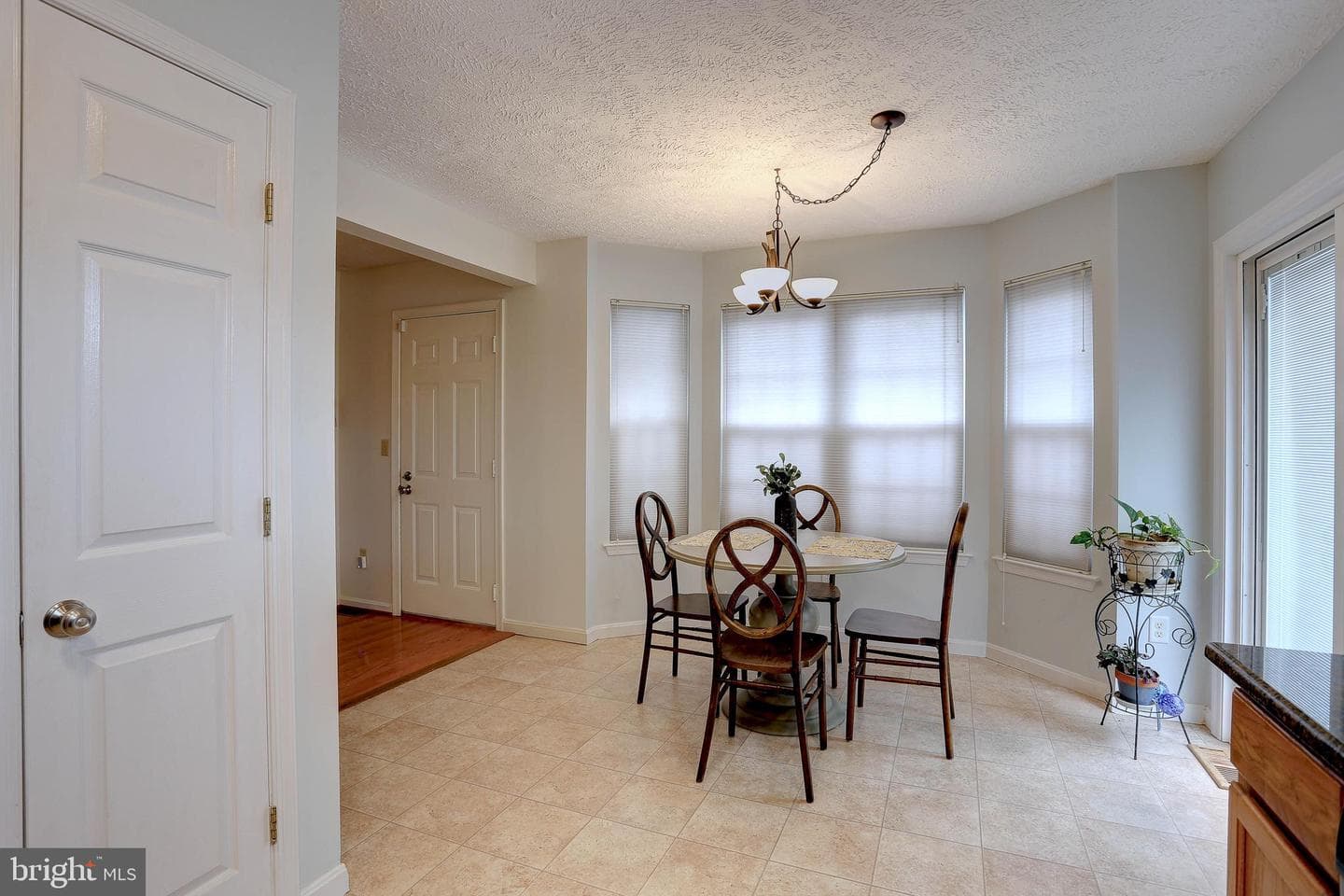7691 Early Spring Way photo 10