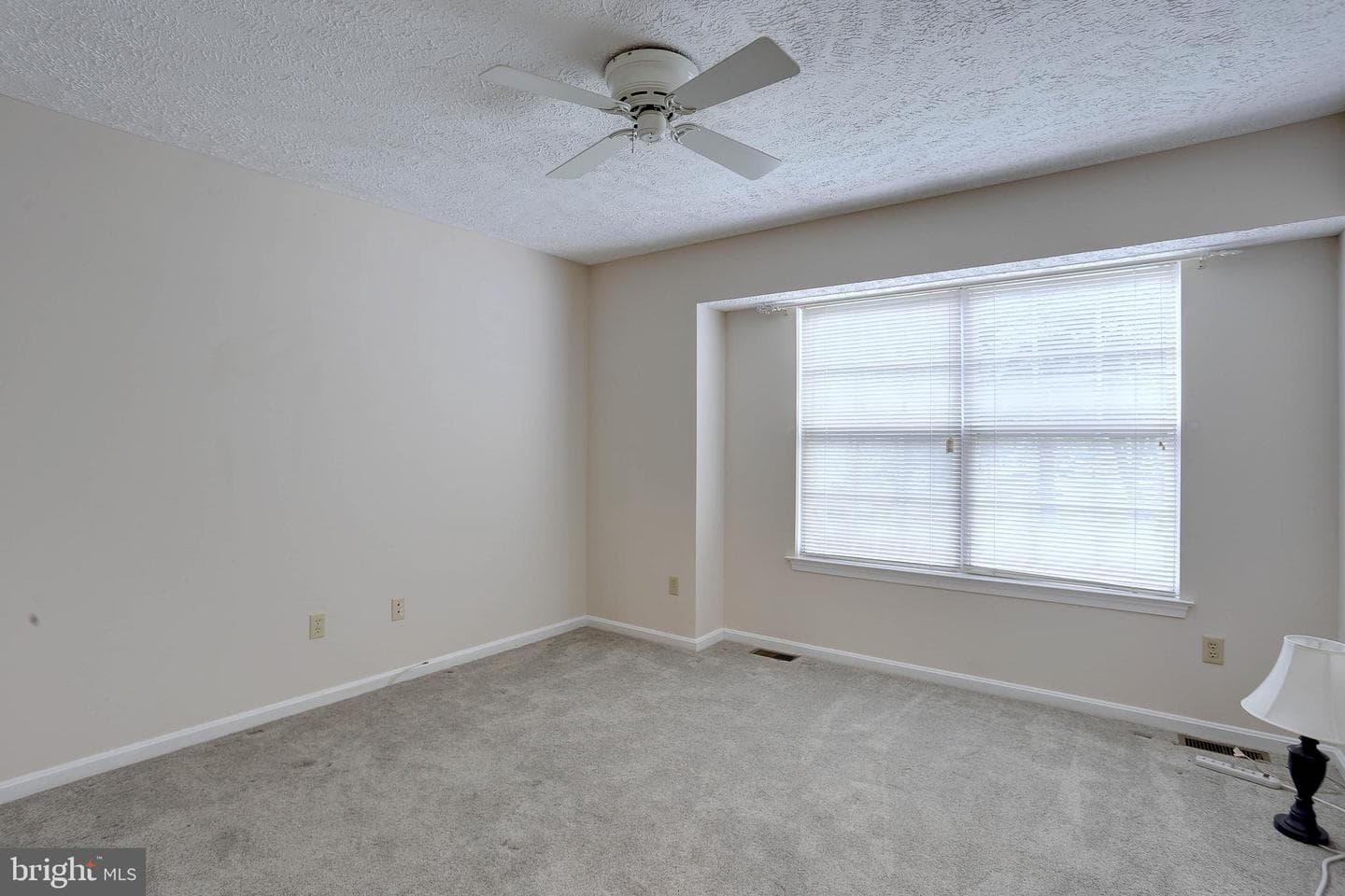 7691 Early Spring Way photo 16