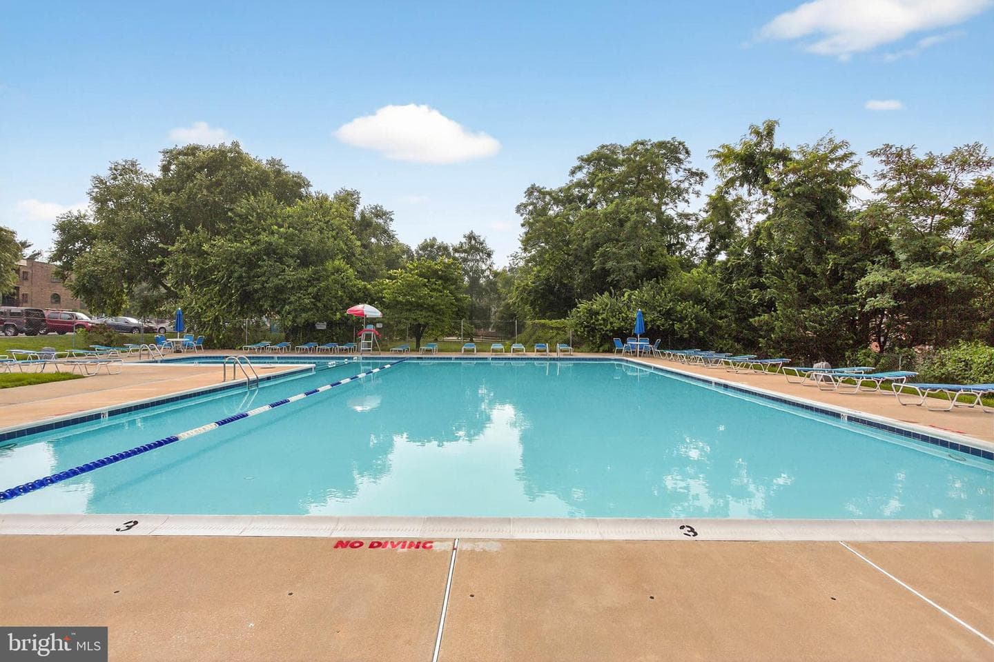 203 Victor Parkway #203a photo 32