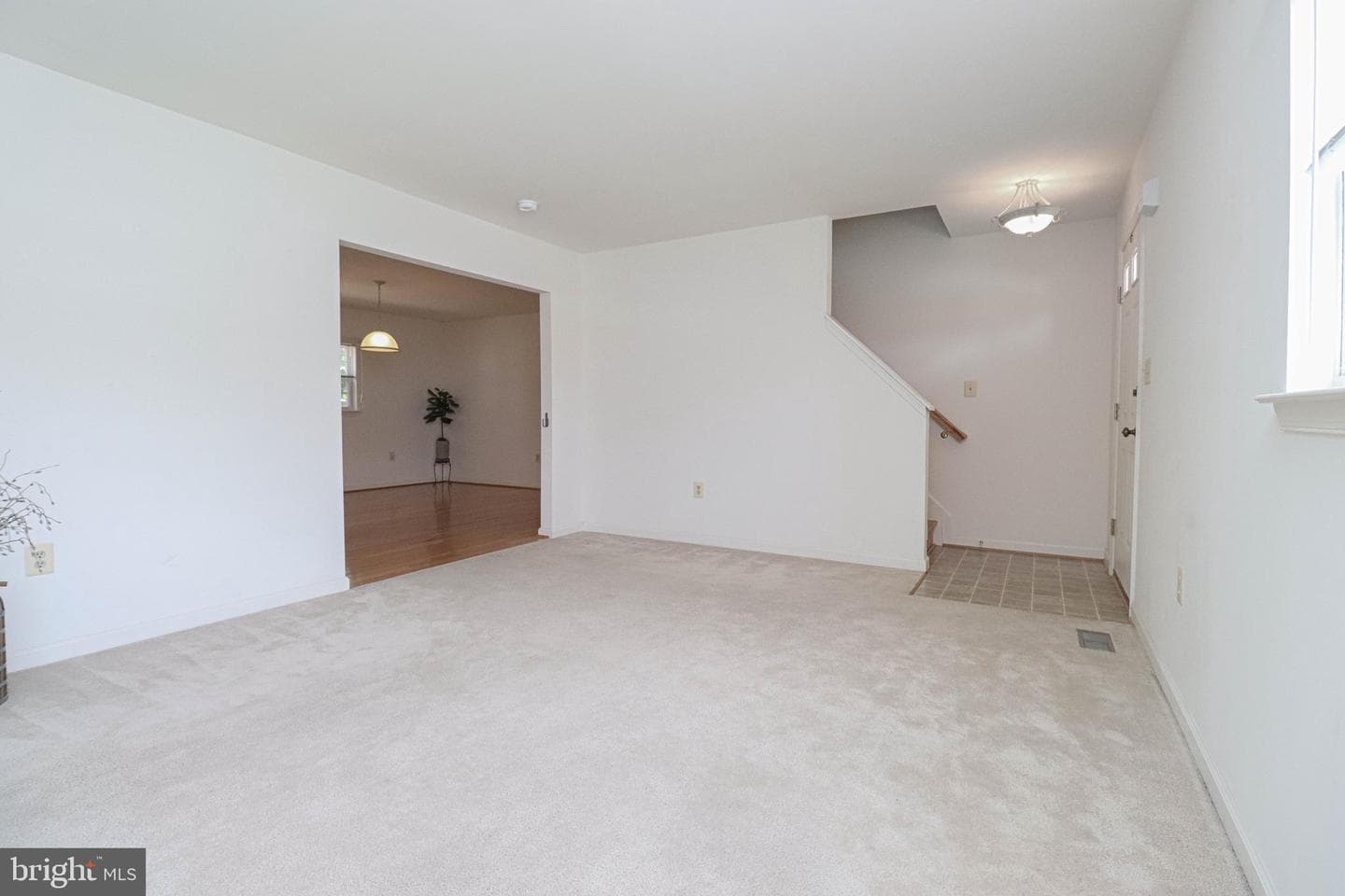 114 Clarence Avenue photo 10