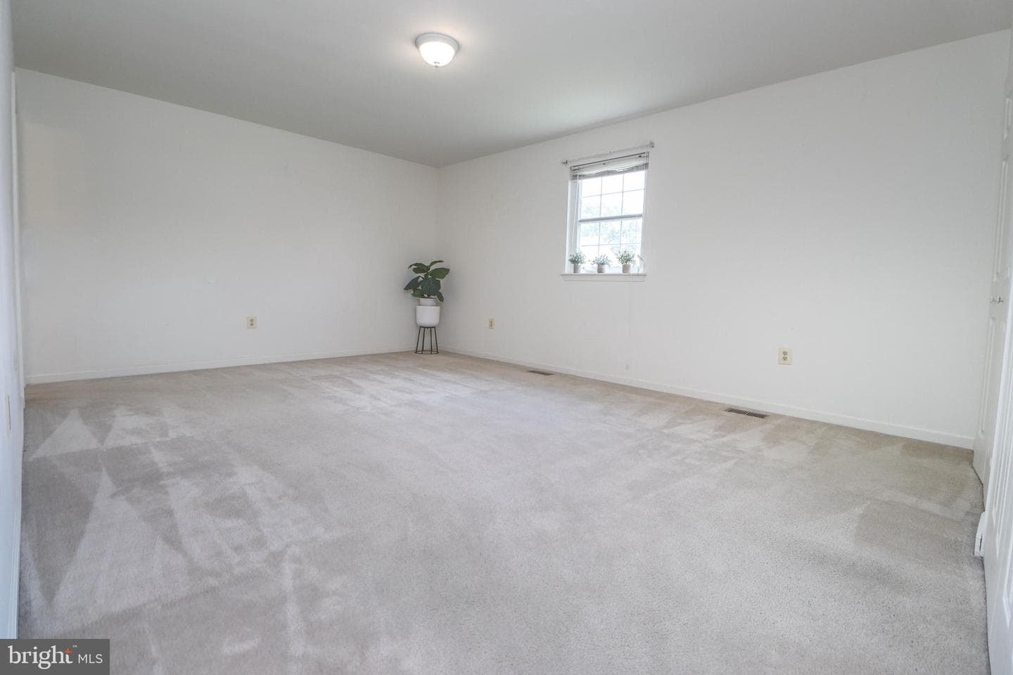 114 Clarence Avenue photo 12