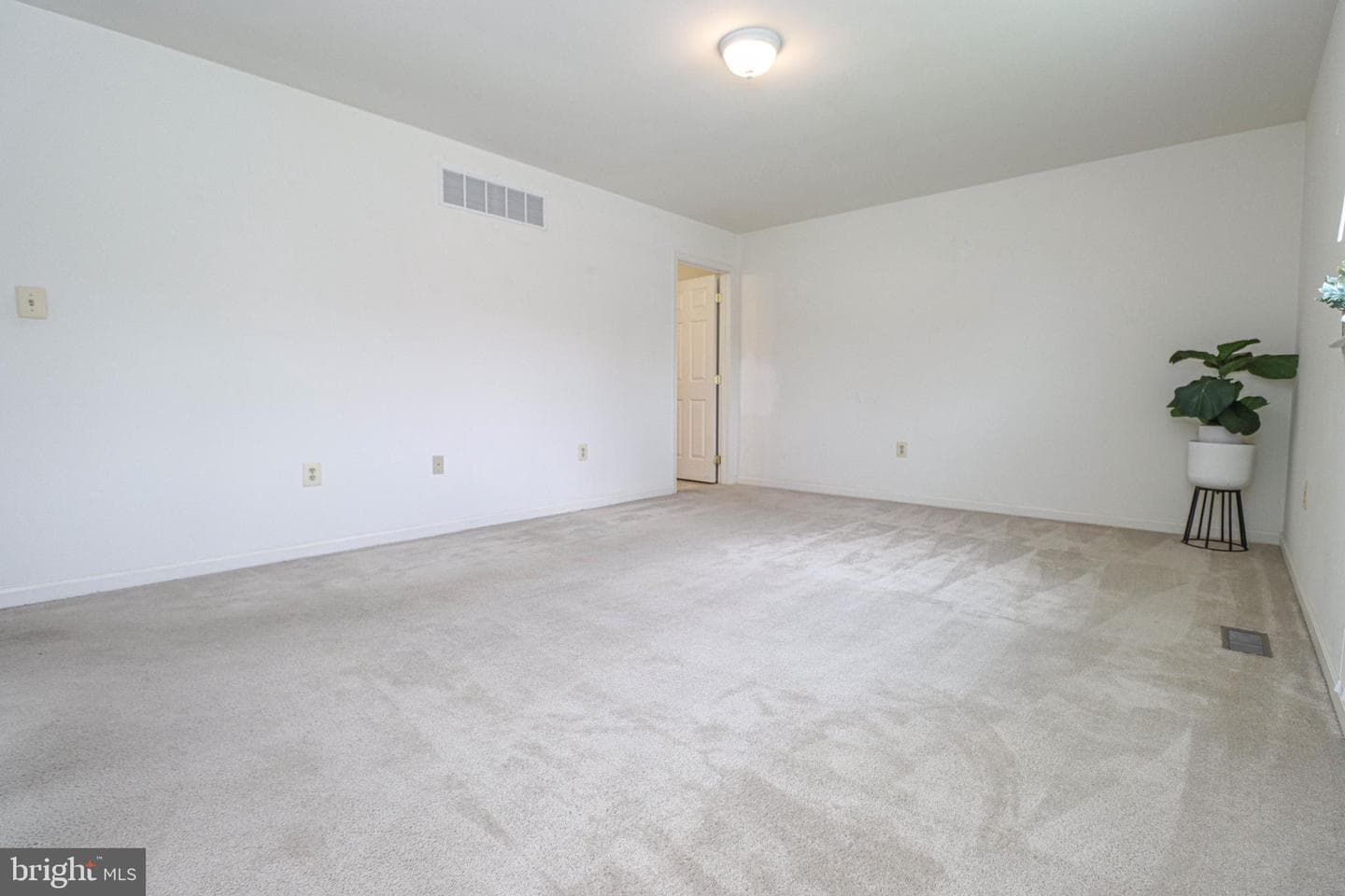 114 Clarence Avenue photo 13