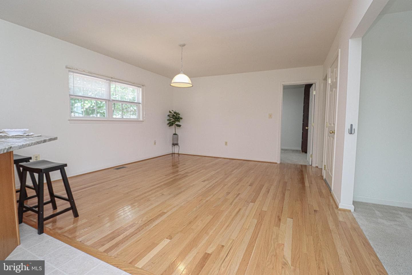 114 Clarence Avenue photo 4