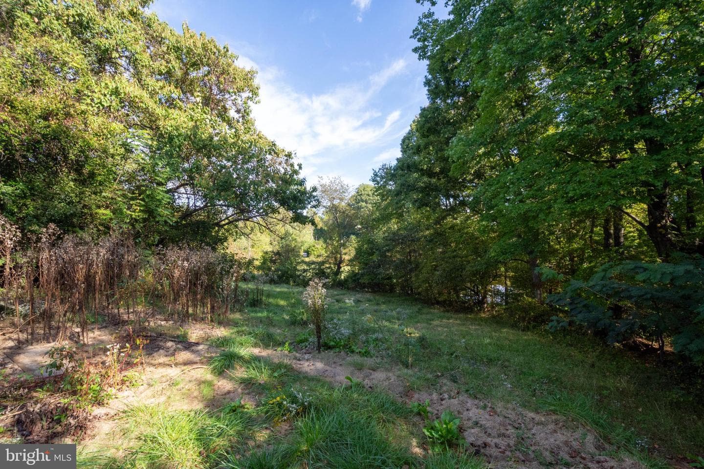 5292 Moreland Road photo 35