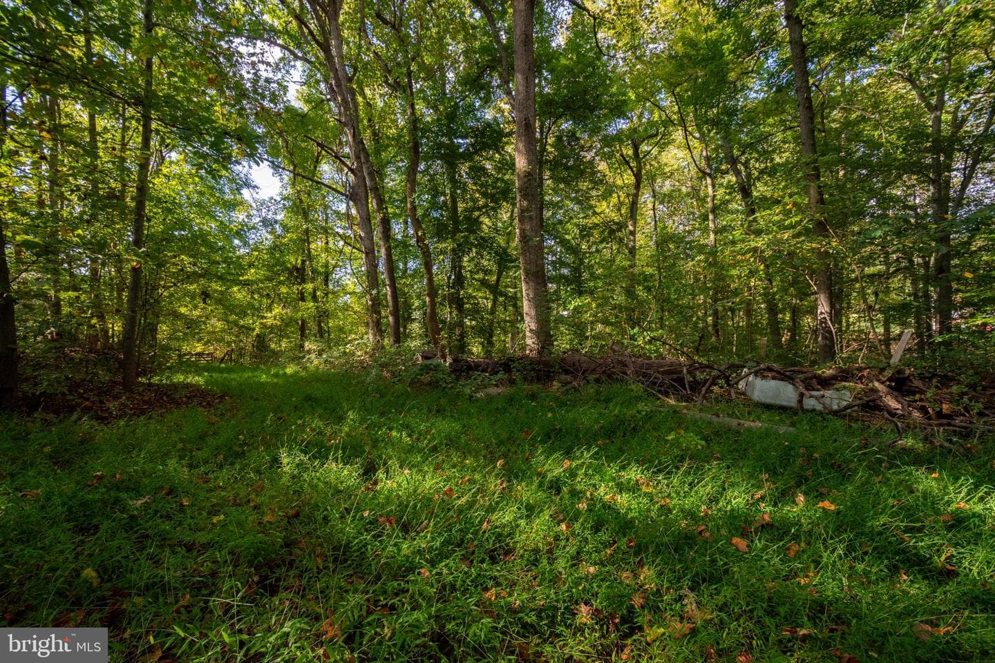 5292 Moreland Road photo 8