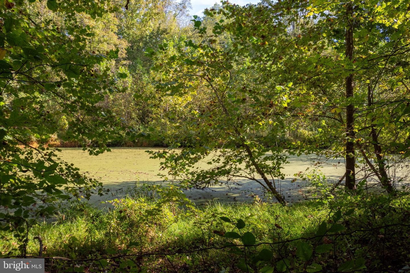 5292 Moreland Road photo 9