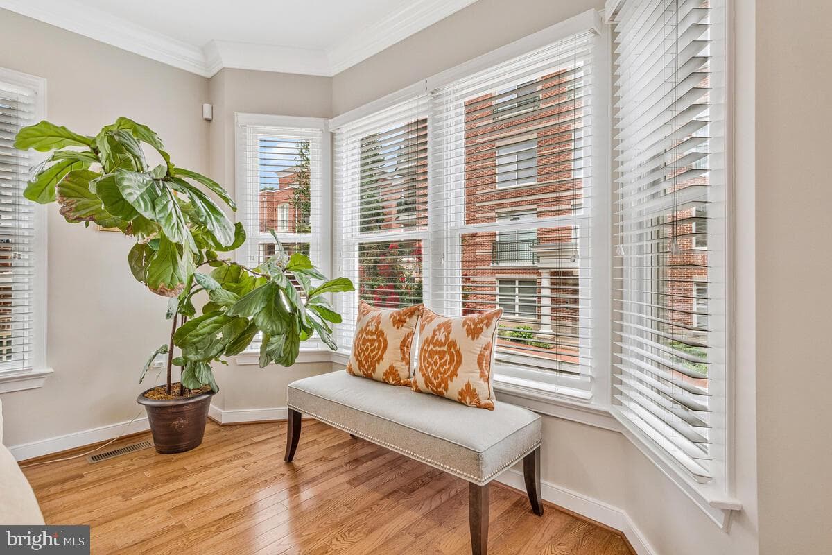 57 Richards Lane photo 6