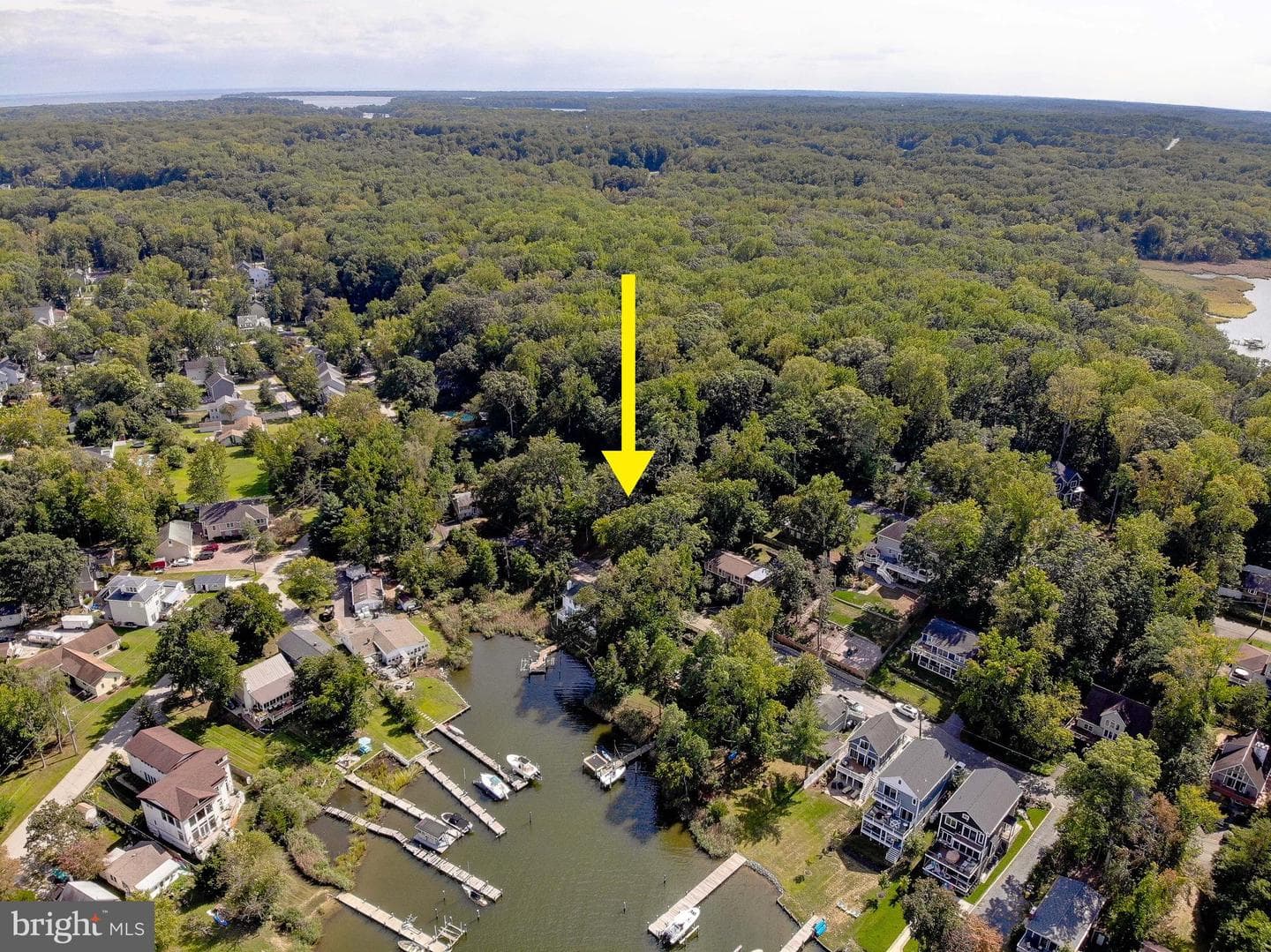 349 Arbutus Drive photo 5