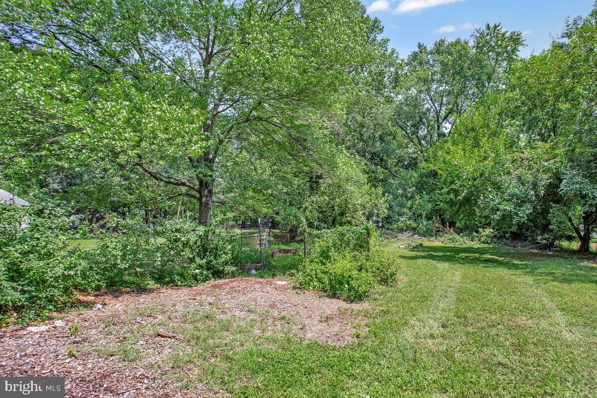 213 Burns Crossing Road photo 35
