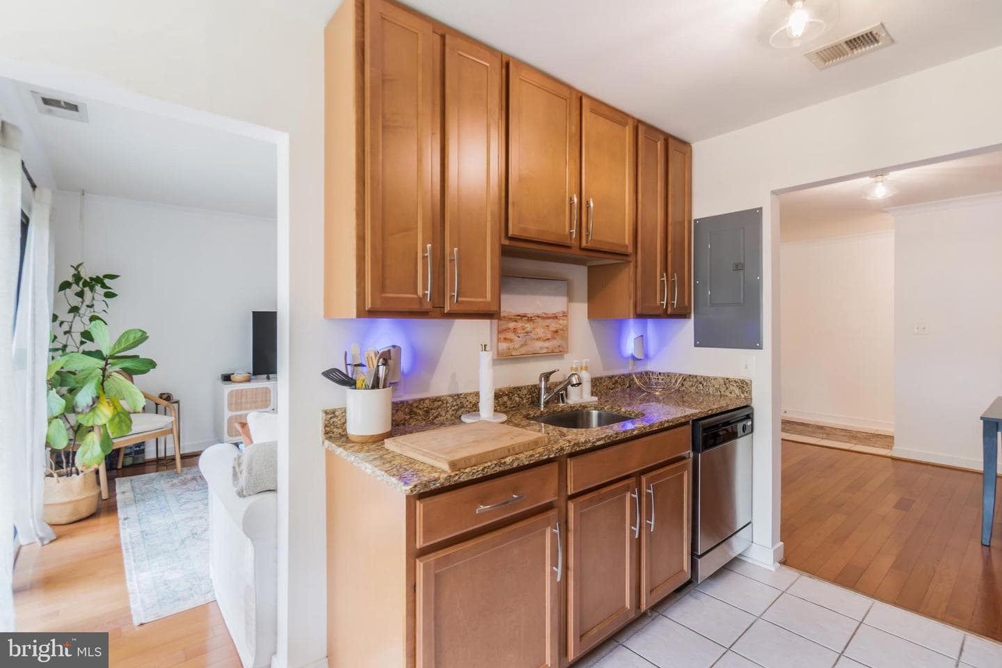 1233 Gemini Drive #g photo 13
