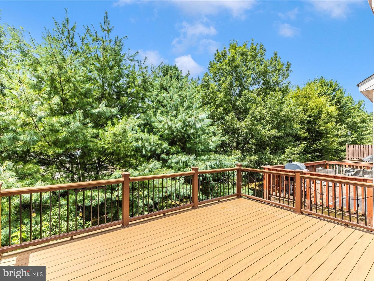 1710 Jennifer Meadows Court photo 45