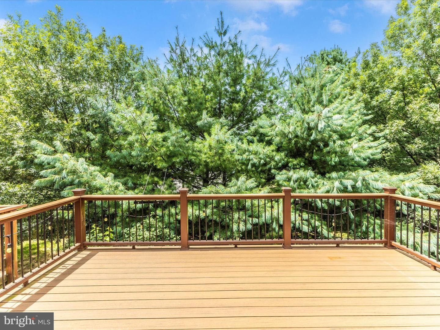 1710 Jennifer Meadows Court photo 46
