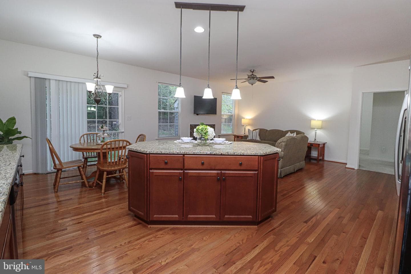 217 Saltgrass Drive photo 10