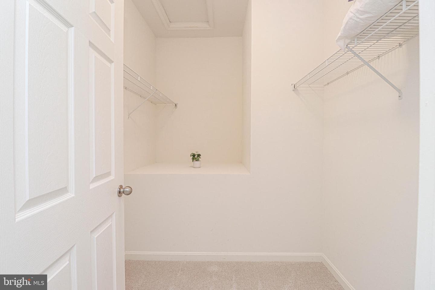217 Saltgrass Drive photo 19
