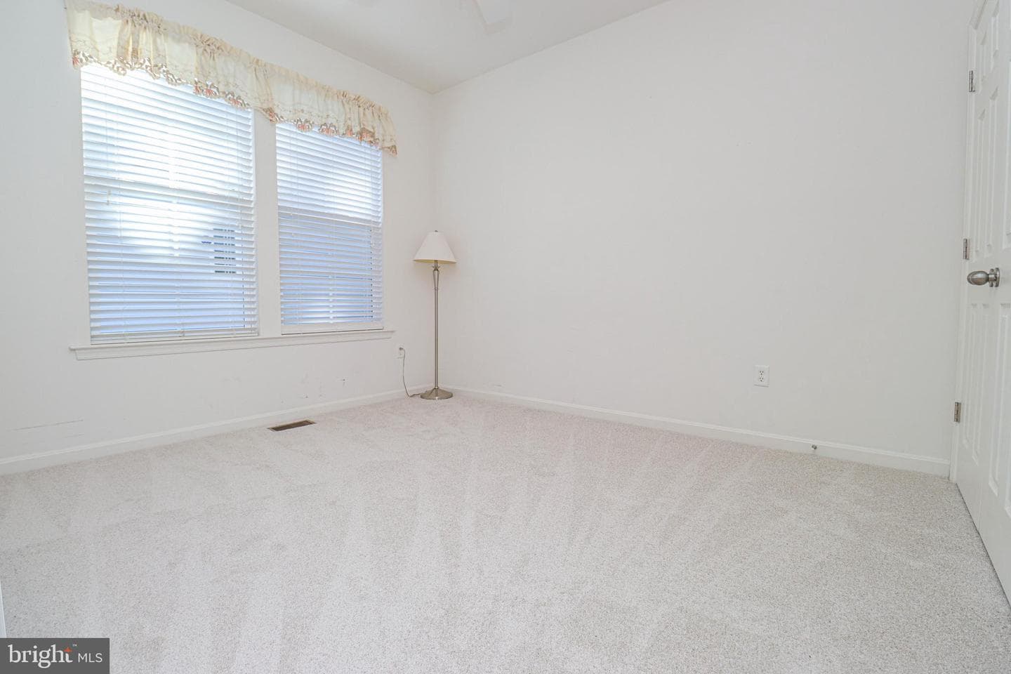 217 Saltgrass Drive photo 22
