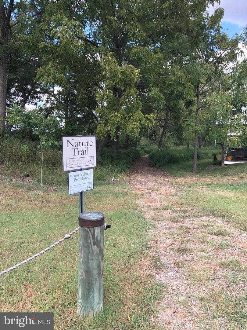 217 Saltgrass Drive photo 34