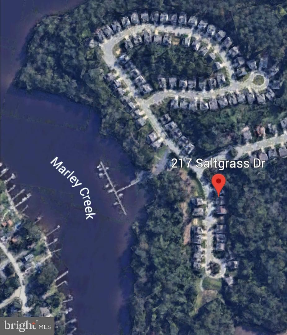 217 Saltgrass Drive photo 39