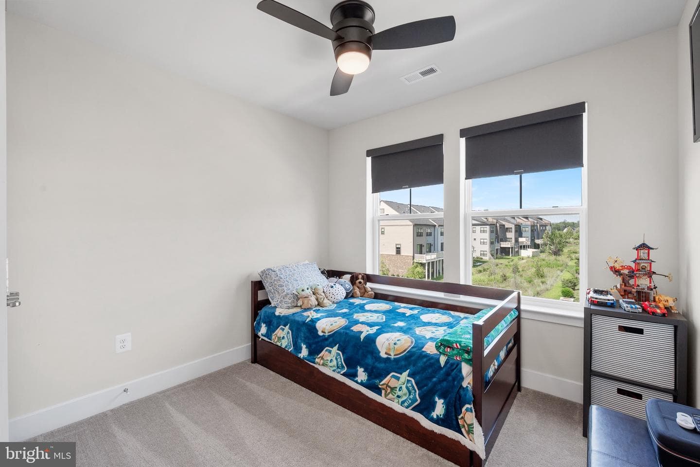 630 Chalcedony Lane photo 30