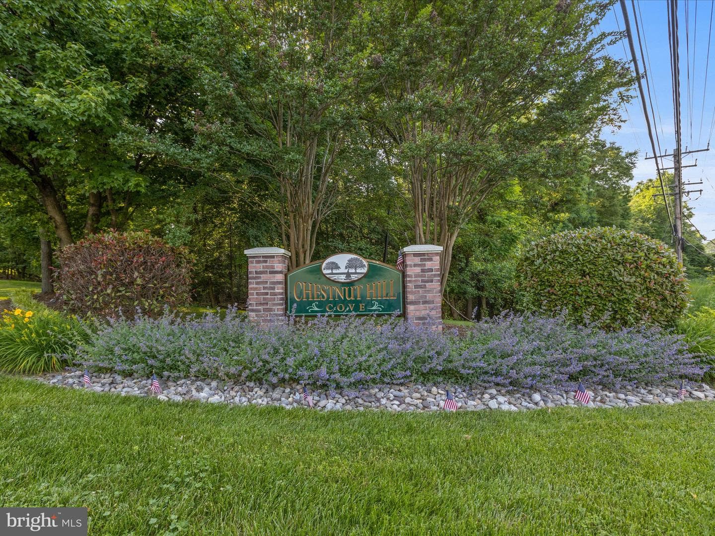 939 Chestnut Manor Ct photo 33