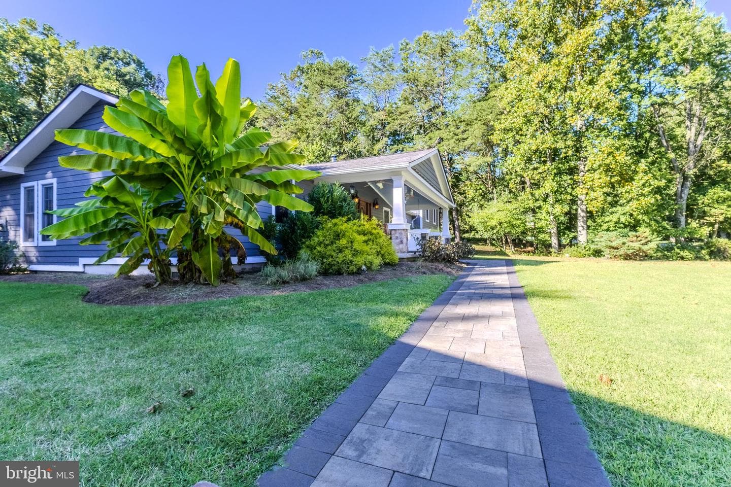 2530 Cheval Drive photo 4