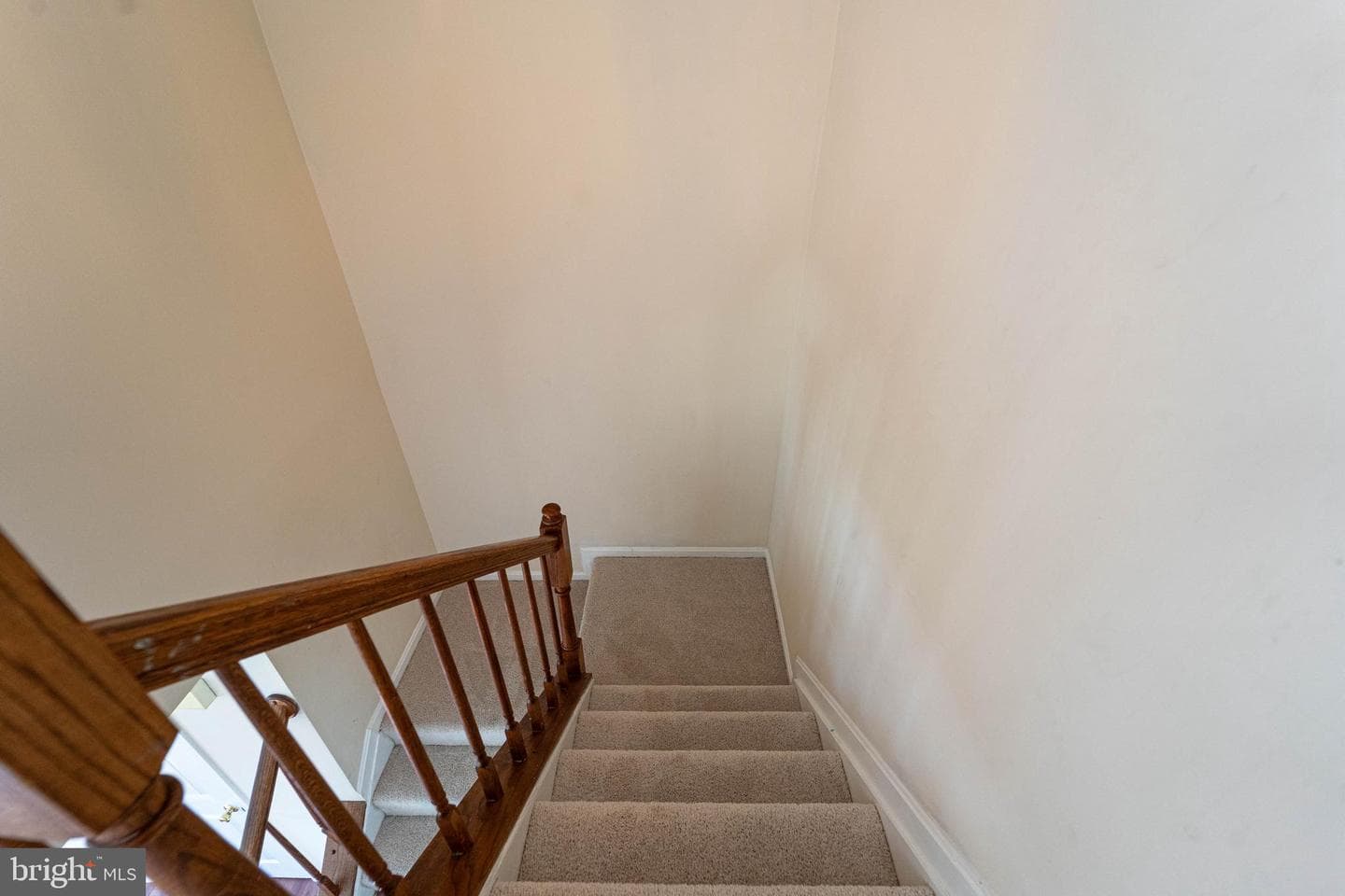 8236 Appalachian Drive photo 32