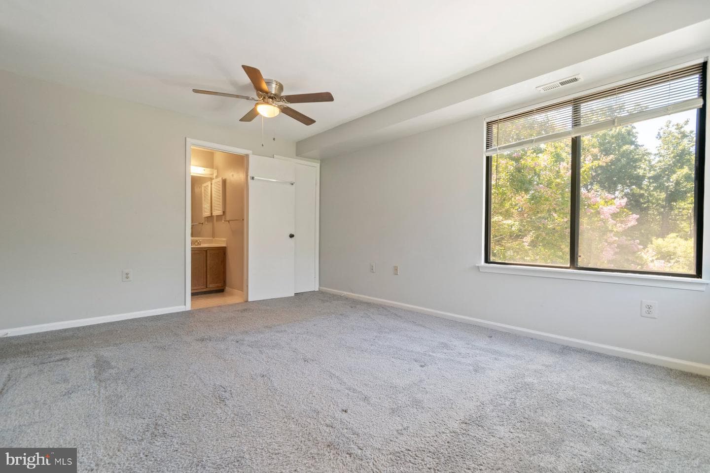 1110 Castle Harbour Way #2a photo 18