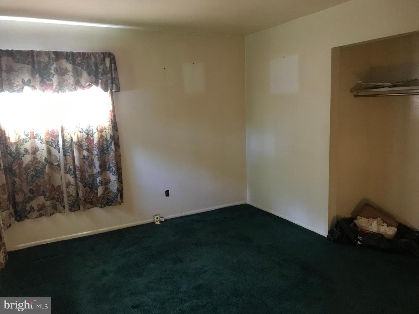 403 Arbor Drive photo 5