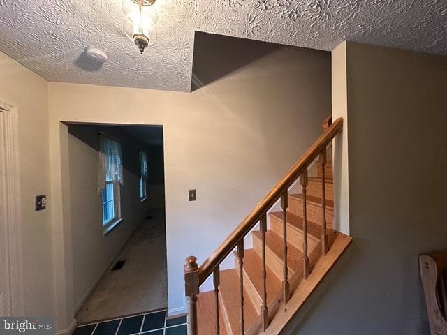 1533 Palm Court photo 2