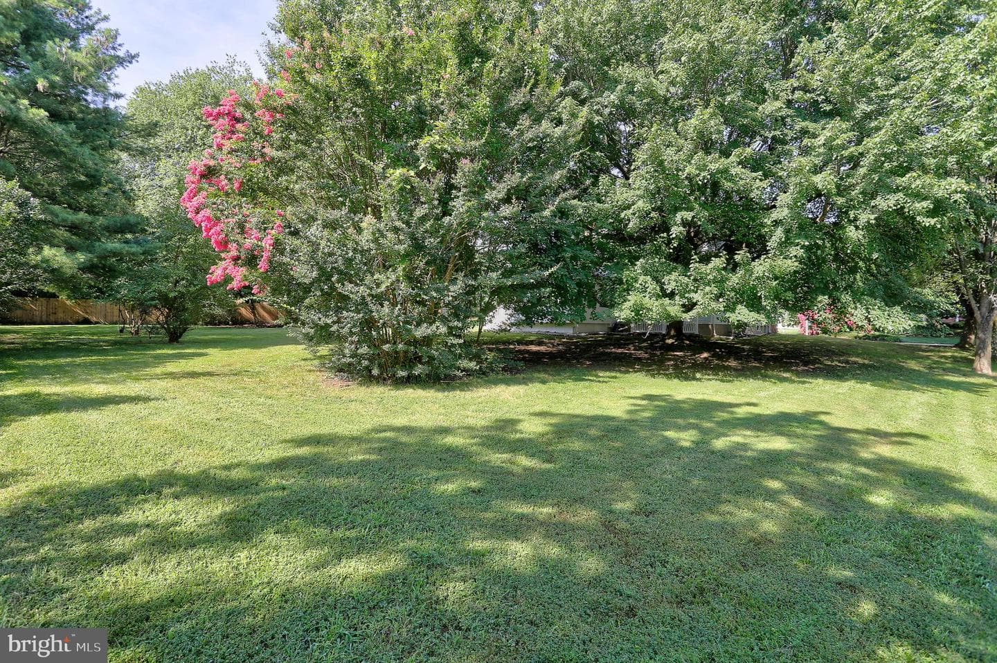 1533 Palm Court photo 37