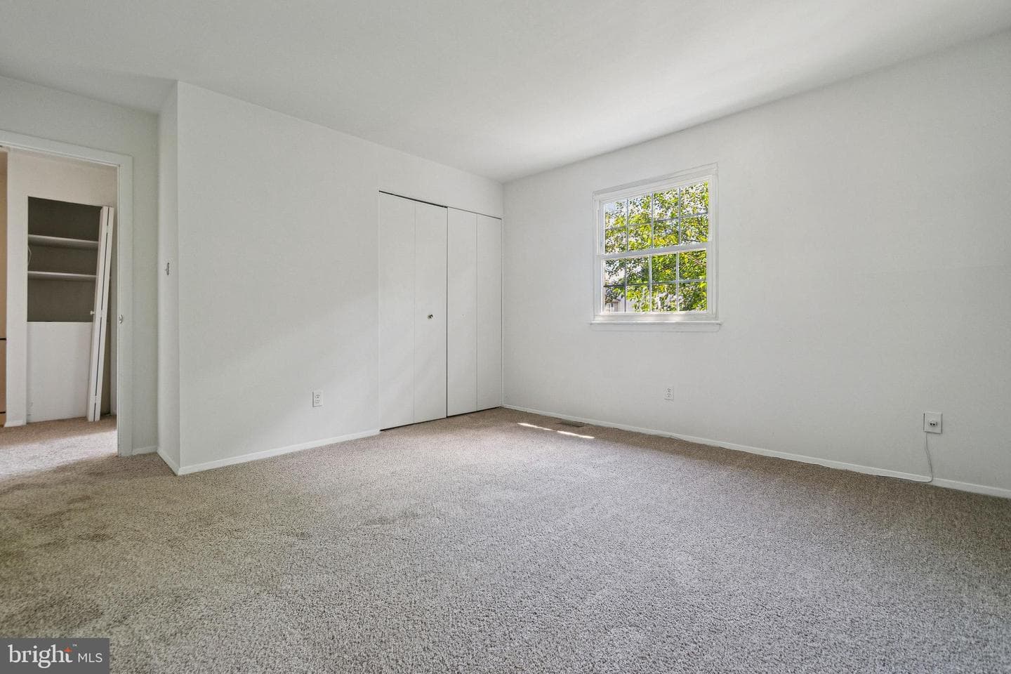 492 Norvelle Court photo 11