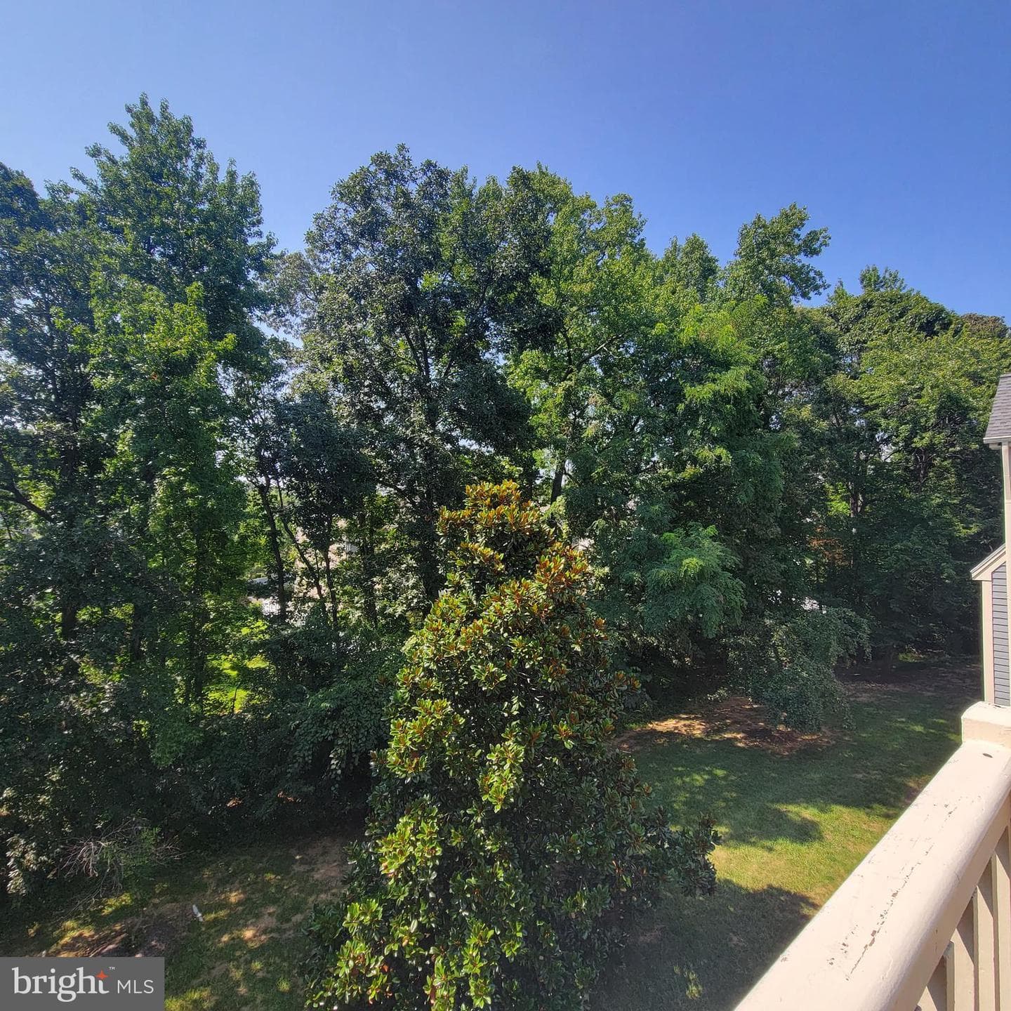 2710 Summerview Way #302 photo 26